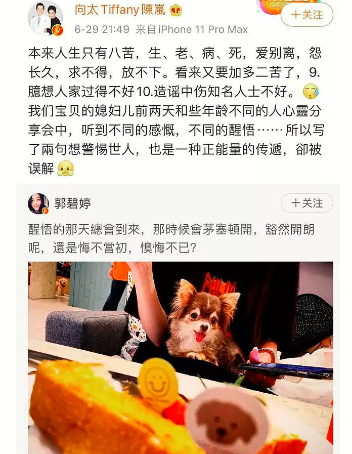 向太，向佐和郭碧婷的形象发言人