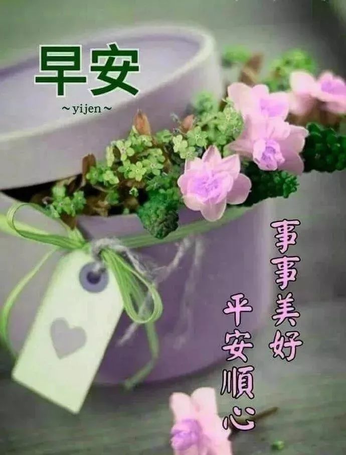 陽春三月非常好看的美女早上好問候表情圖片帶字帶祝福語