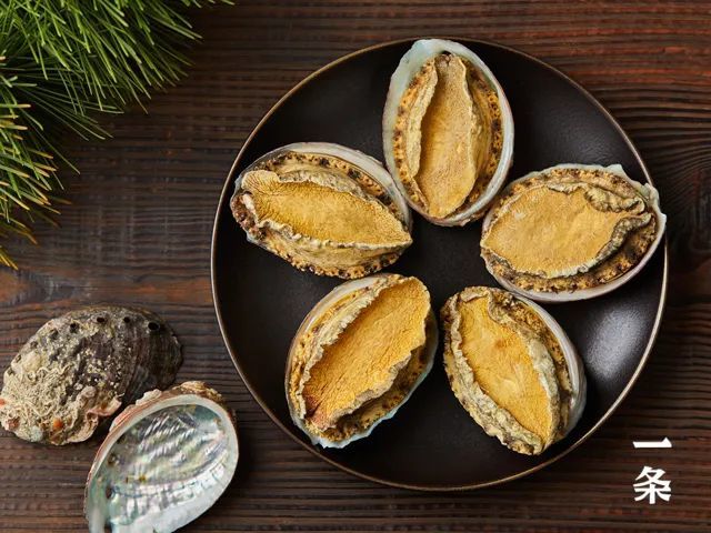 鲍鱼,是名贵的海洋食用贝类,不仅口感鲜美弹韧,而且营养价值高,有着