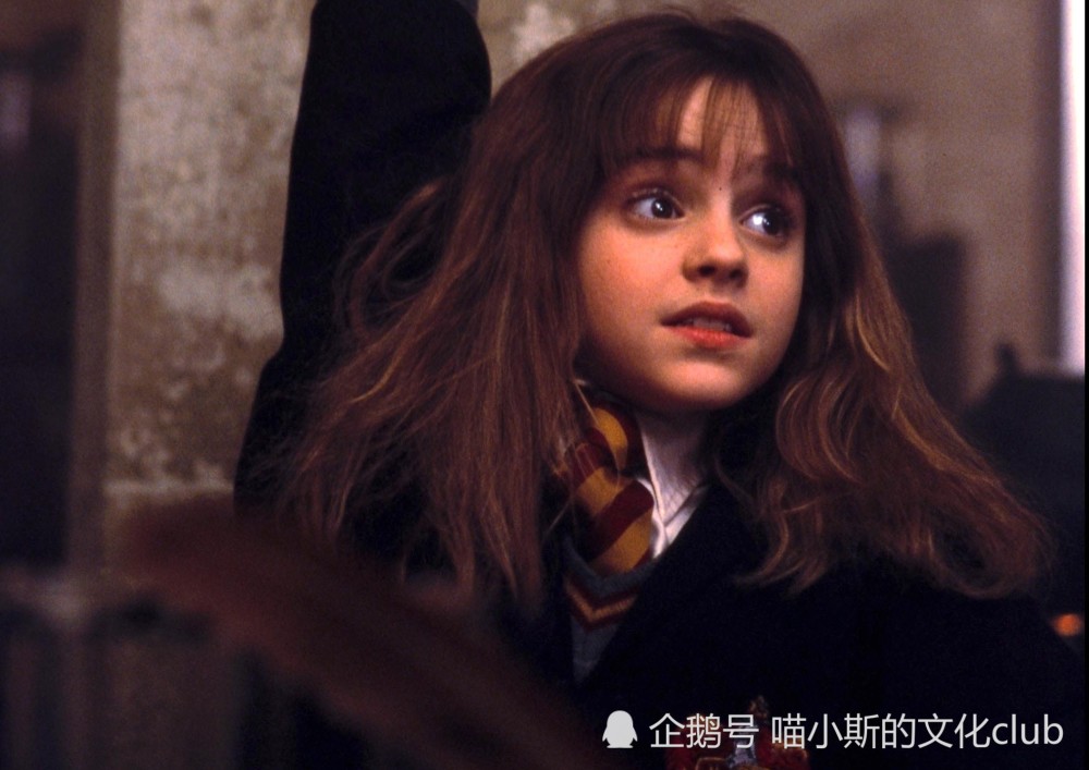 哈利波特聪明如赫敏也有智商不在线的时候