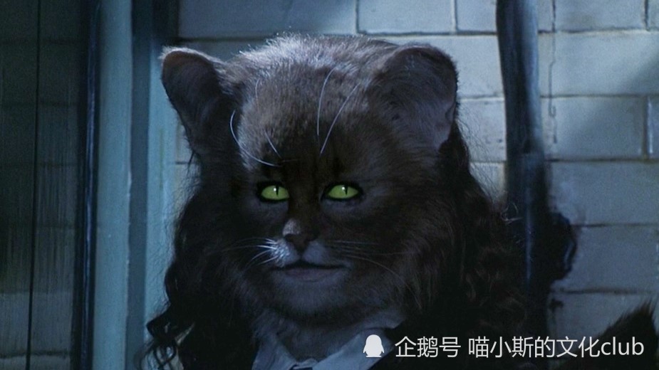 严格来说,赫敏没有彻底变成一只猫,因为复方汤剂只能让一个人变成另一