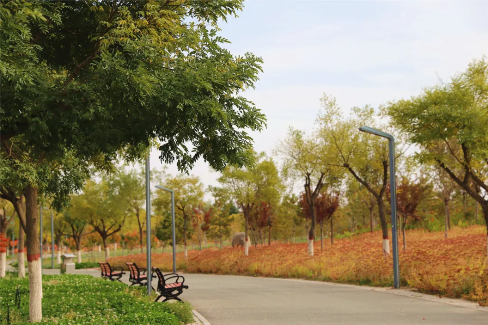 秋染银西绚丽新城