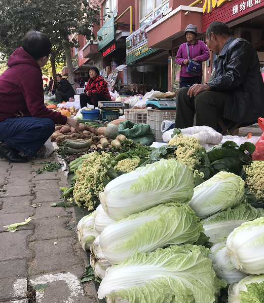 区世秀早市上看到,来自栖霞,牟平,黄务等地的菜农正在卖自种的白菜