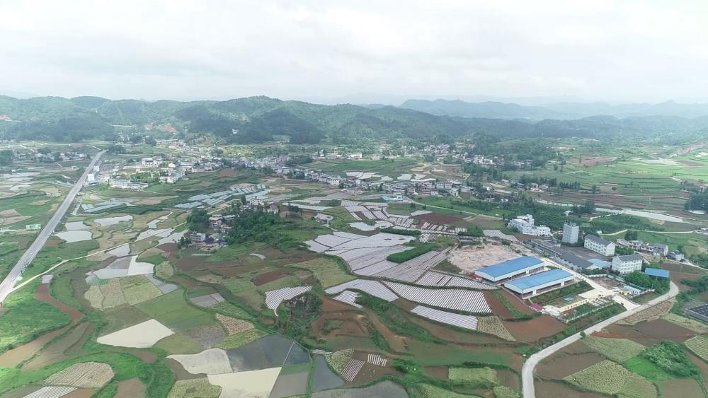 在福泉市龙昌镇长冲村麻界坝区,随着土地平整施工完毕,机耕道,排洪沟