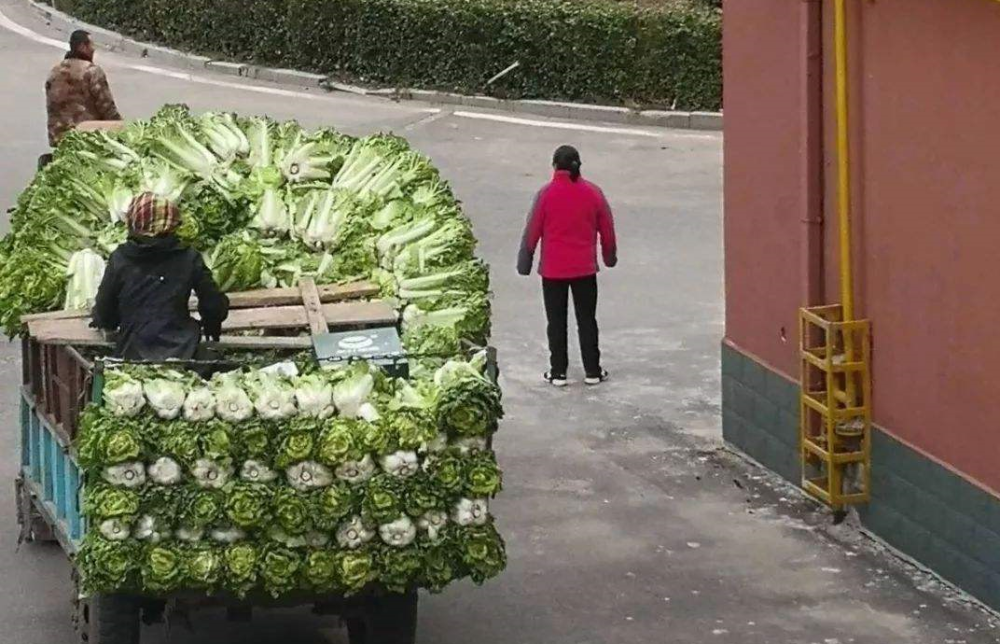 怎么剥石榴最简单方法视频银行多名人群充满崇左临门莫名新概念2背完可以交流吗