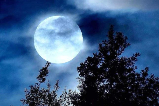 当然霜月还指的是这时段和这之后所有秋冬的月色,青天如水月如霜.