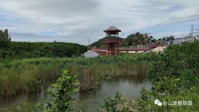 台山海宴青山咀海岸线生态成新晋"网红打卡点",你来了吗?