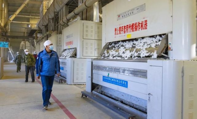 丰收季丨轧花厂收购忙 种植户喜交棉_腾讯新闻