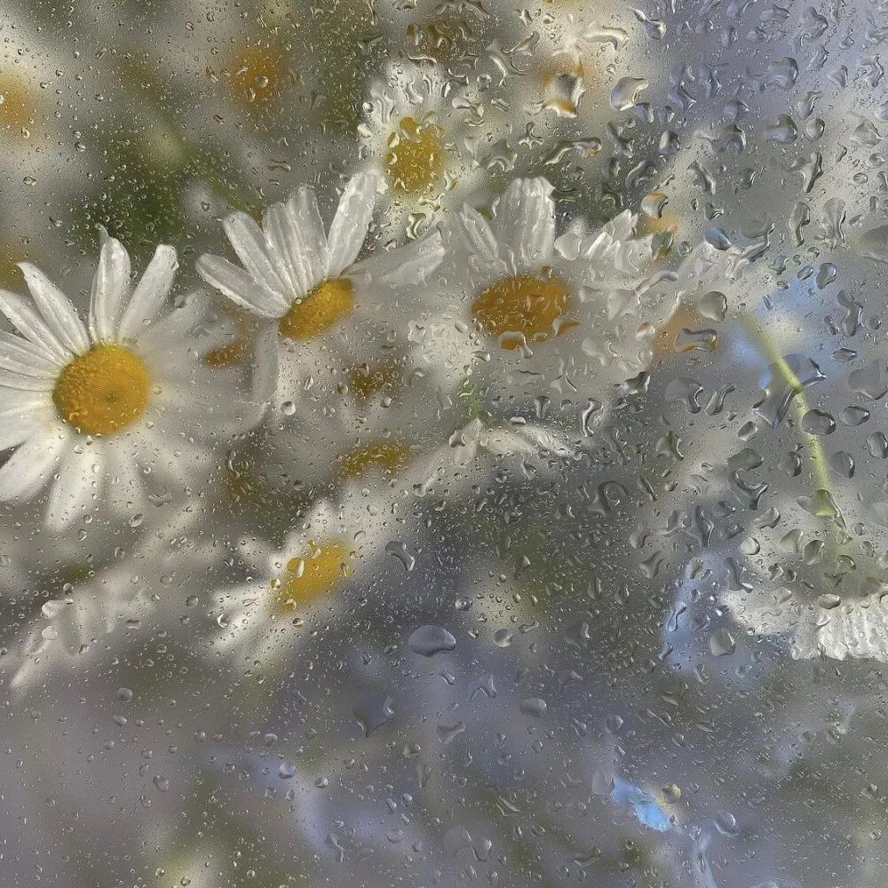 文案丨適合下雨天發朋友圈的雨天文案～_騰訊新聞