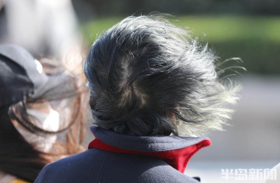 大风吹!乱了发,迷了眼_腾讯新闻