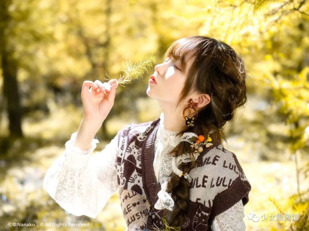 写真少女丨金色秋叶飘落的树下