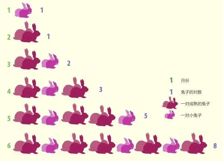 斐波那契以兔子的数量展示他的数列.