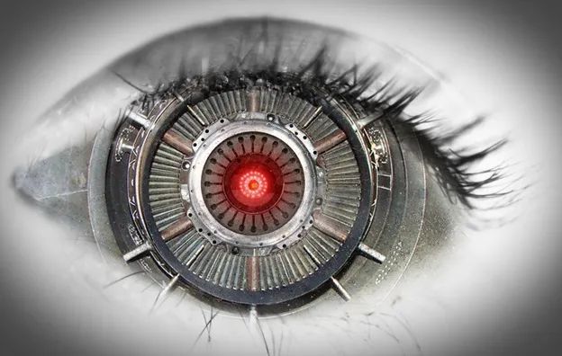 说,一个人的手机对她的幸福和身份至关重要,可以被认为是一个半机械人