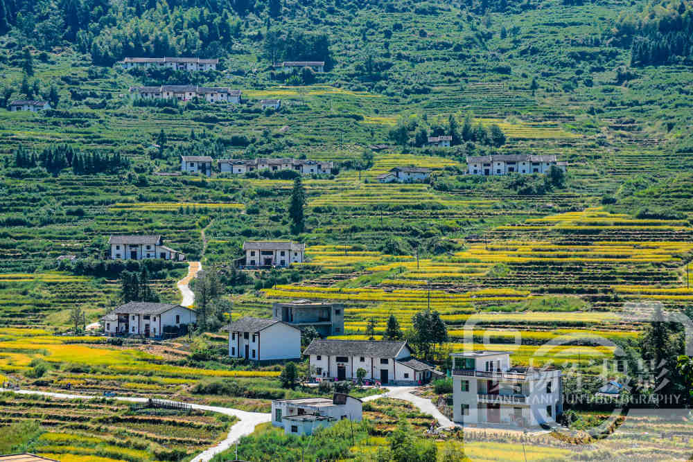 中国以丘陵地貌为主的省,水稻土面积约3000万亩,你知道是哪吗?