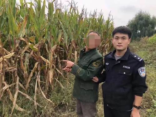 一心想着不劳而获调兵山一男子跑地里偷玉米被抓