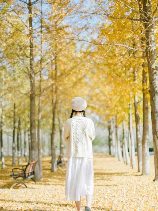 秋天拍照8个拍照姿势和秋天树林一起拍照美美的