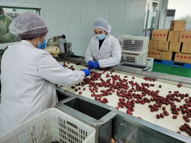 全面小康 一起幸福|上海援疆:农产品深加工助推乡村振兴开新局