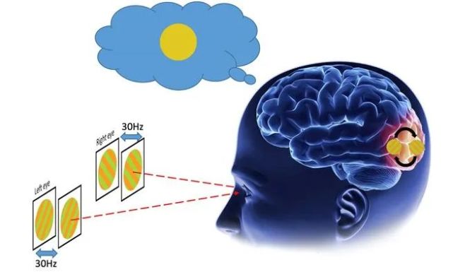 自动驾驶|是像人一样思考,还是像人一样感知?