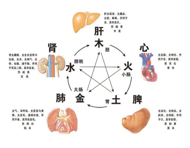 大降溫來襲怕冷腎氣不足別怕艾灸腎腧穴