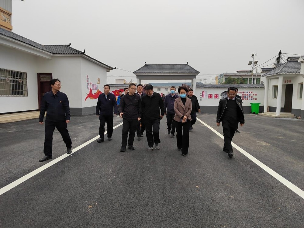 调研组一行先后来到桐河乡李司庄村供港苔菜基地,村史馆,新时代文明