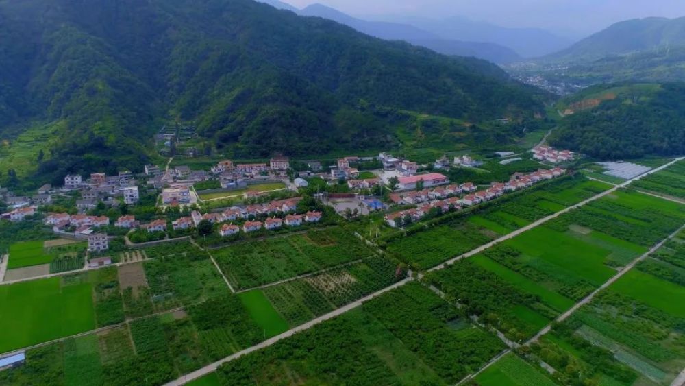 四川省乡村旅游特色乡镇,四川省乡村旅游精品村寨的建设村,依托葡萄