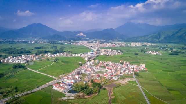 【贯彻党代会和"两会"精神一把手访谈】廊田镇:凝心聚力 真抓实干