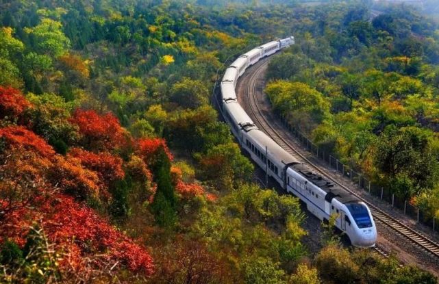 其实,除了高铁列车途经的风景外,高铁列车本身也有许多种颜色!