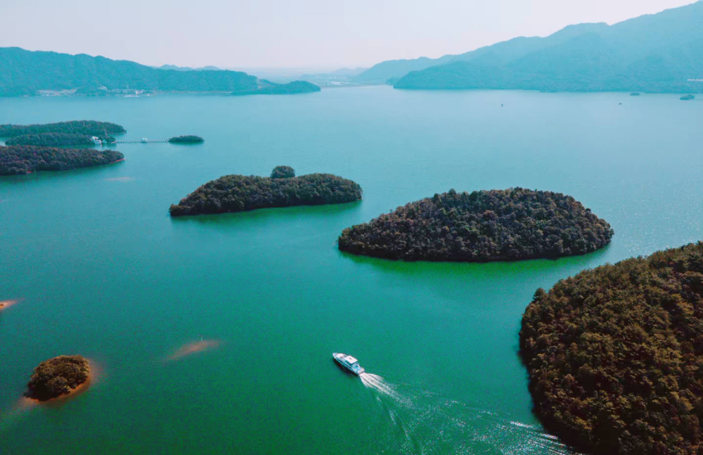 江西也藏着一个千岛湖总面积495平方千米能看到桃花水母