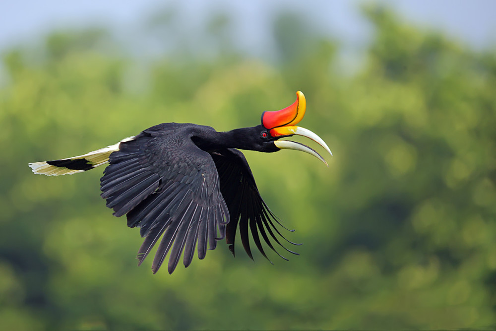 马来西亚现状带你看看一个真实的马来西亚