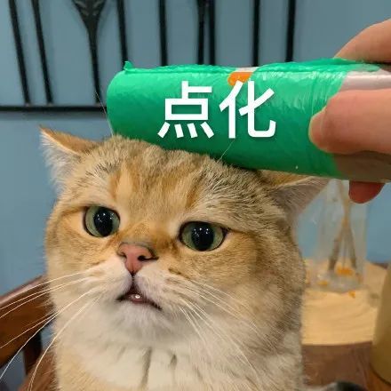 沙雕可爱的猫猫头表情包速存