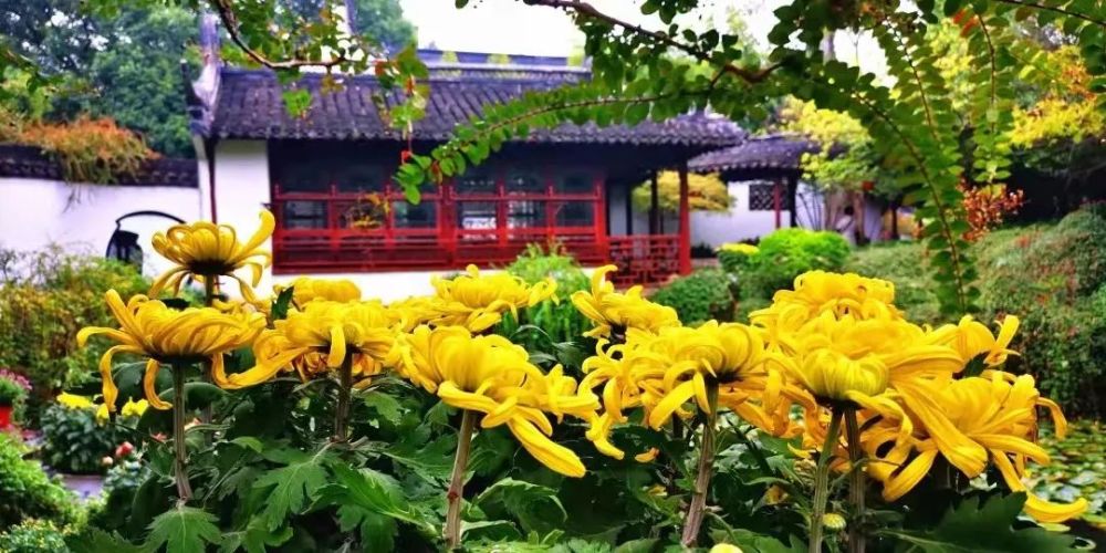 人们用瓦片堆成河内塔 在塔里面放入干柴点燃 火烧得越旺越好,直至烧