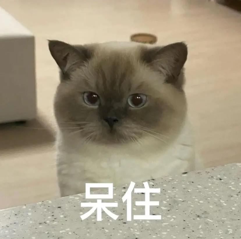 超可爱的喵喵表情包希望我的烦恼能像微信里面的男人一样少