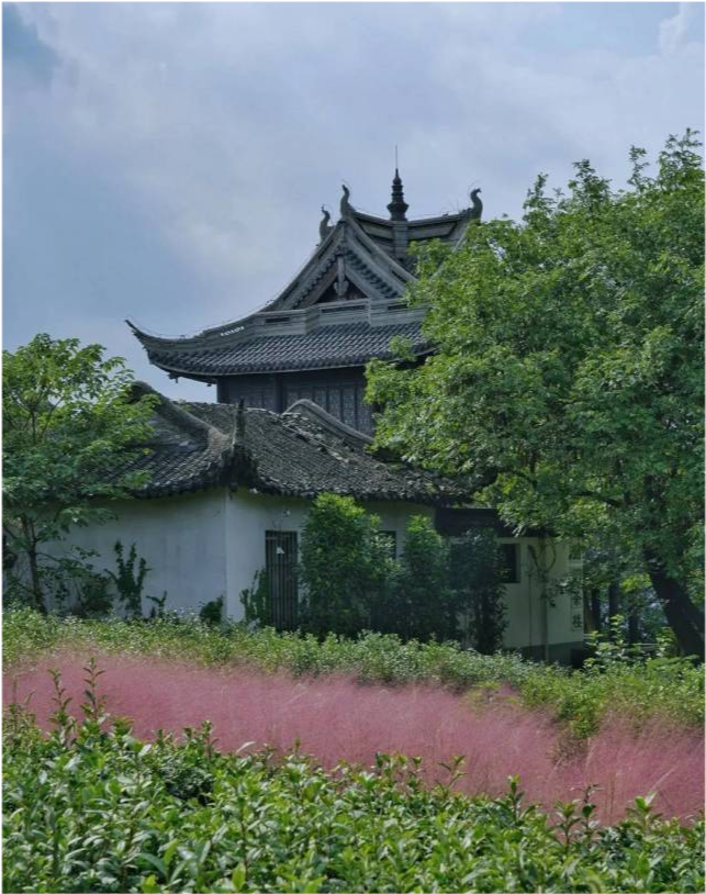 漫步苏州:虞山这个地方被"粉"了