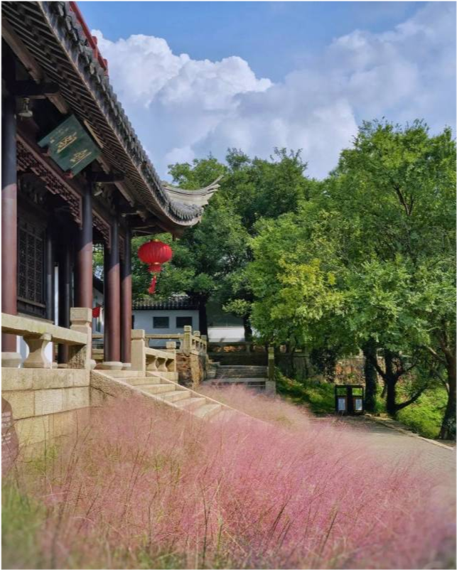 漫步苏州:虞山这个地方被"粉"了