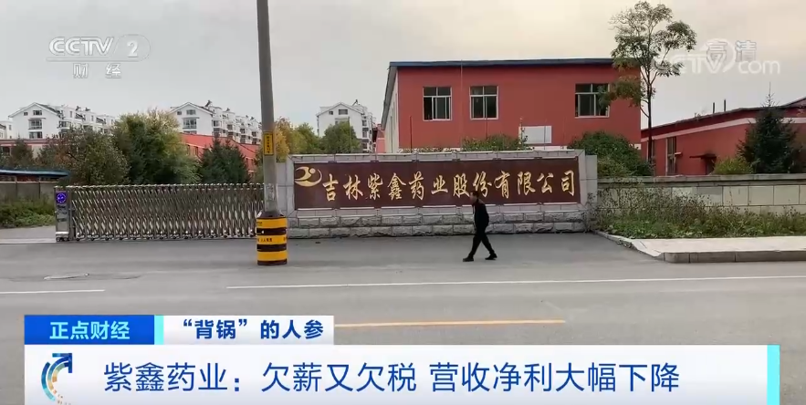 紫鑫药业囤68亿人参还不起25亿债,背后原因是?_腾讯新闻