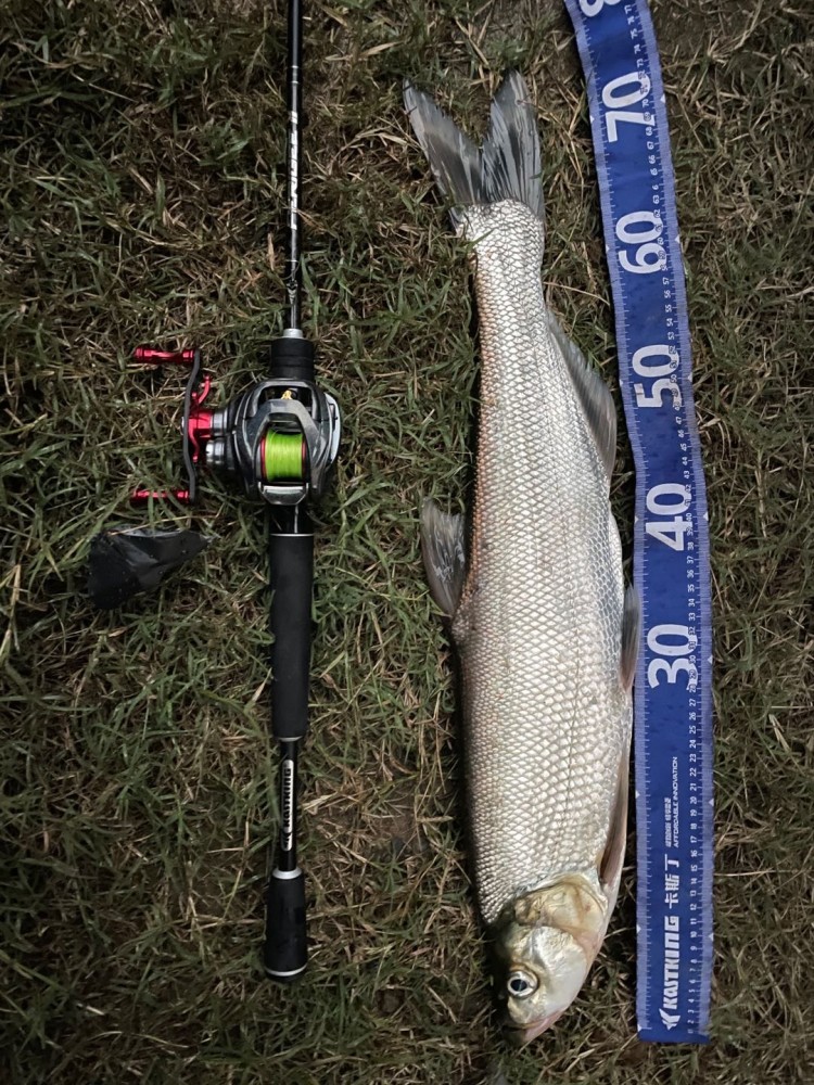 按照这个思路路亚翘嘴中鱼妥妥的