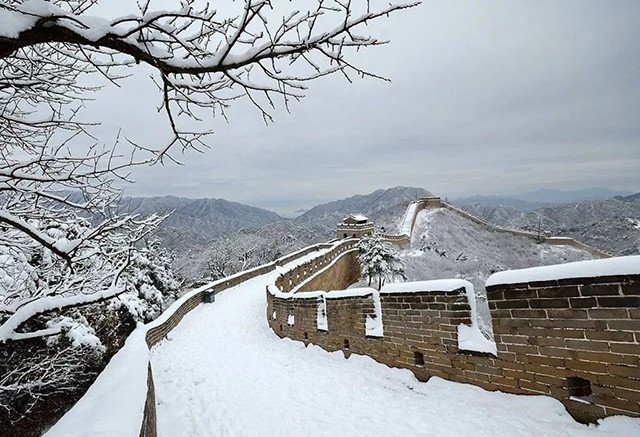 沁园春雪原驱腊象为何改成原驰蜡象两字之差有何区别
