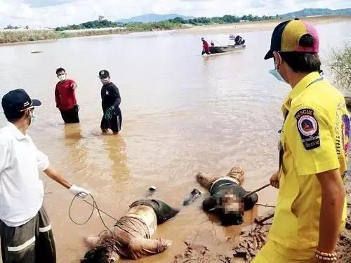 2011年湄公河惨案制造者糯康得知自己被判死刑后跪地忏悔