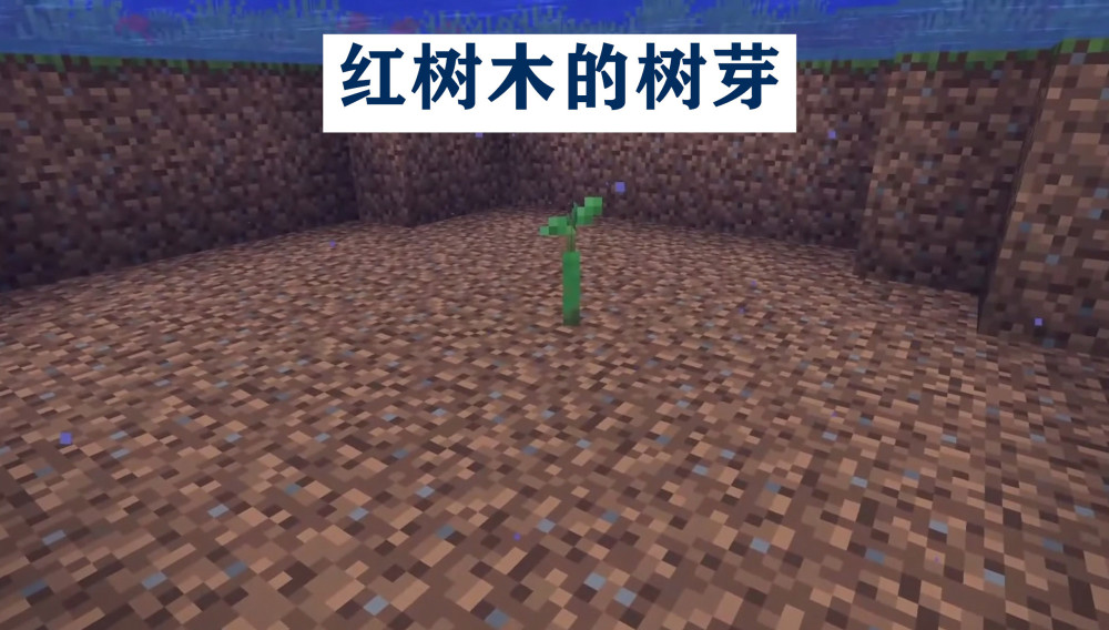 Minecraft 1 19 荒野更新中 将添加的40个特性 全网搜