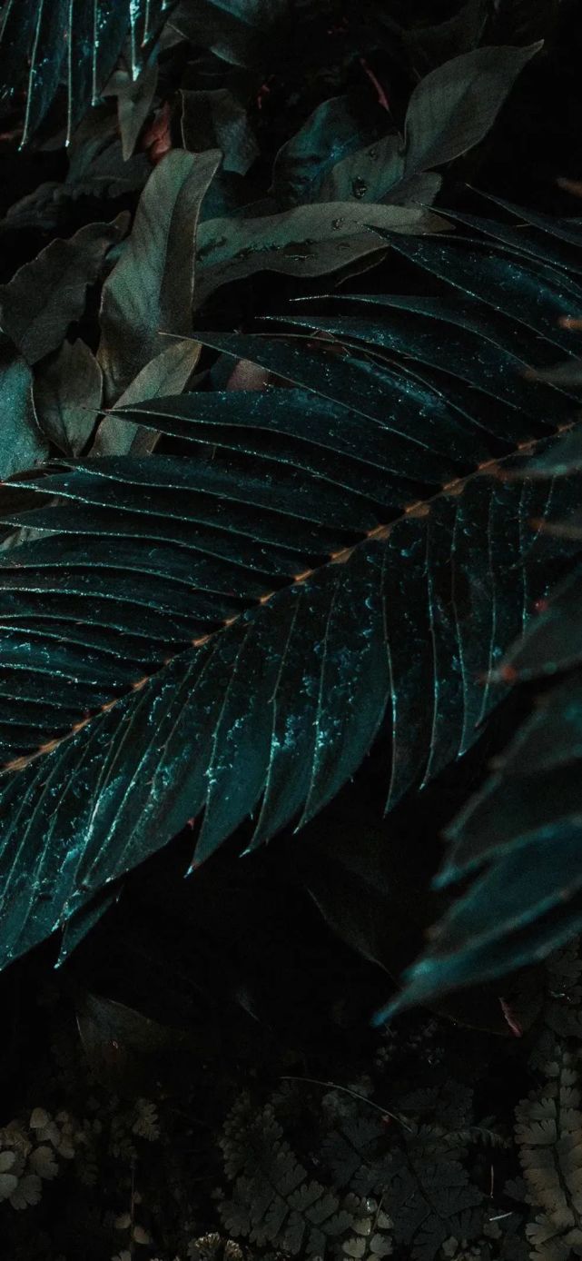 暗色壁纸 腾讯网