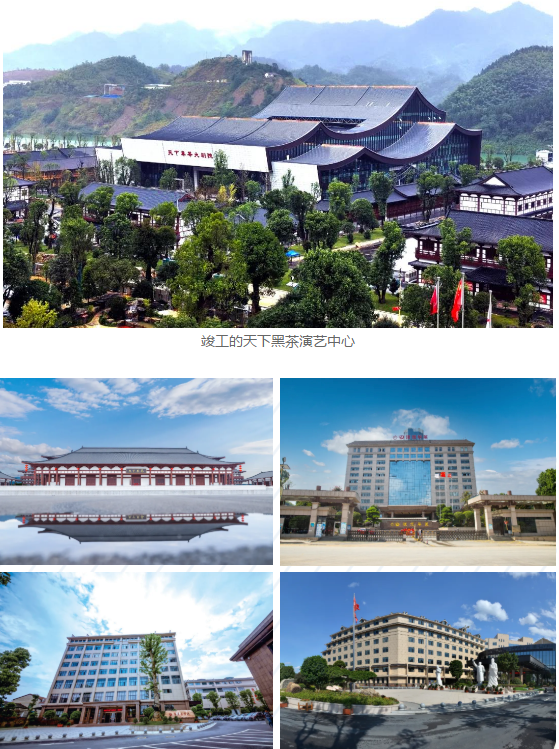 唱响新时代理想华莱动员大会顺利召开