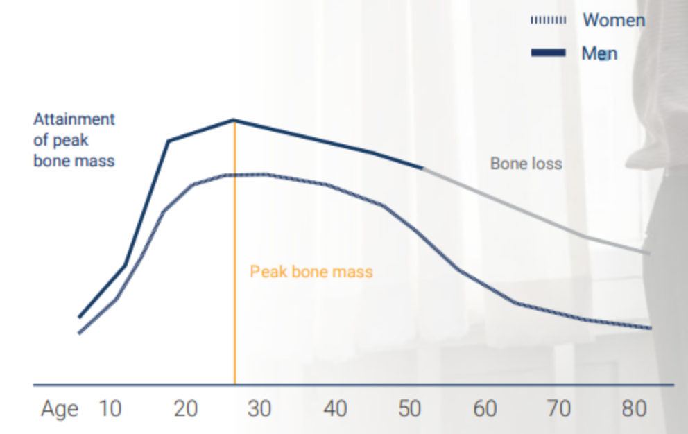 成年時,男性的骨量通常比女性多,但在30歲以後,骨骼中的骨量開始減少.