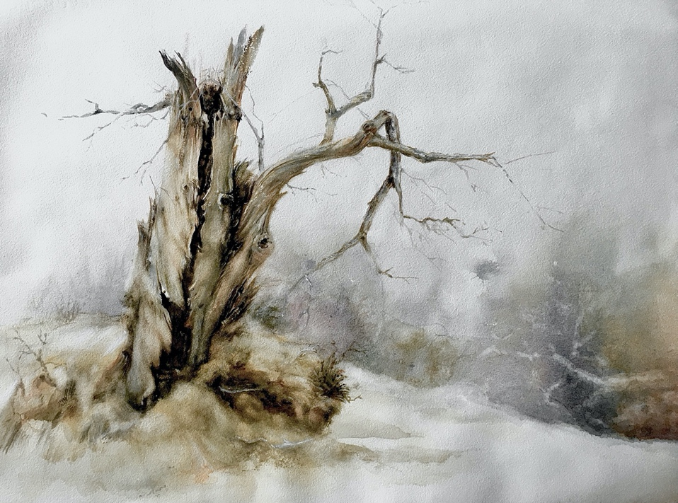 王青琴水彩画作品赏析