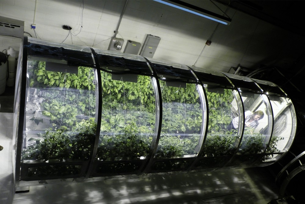 神舟十三号出差人员还有一份太空育种工作