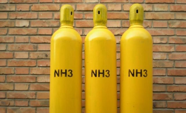 又要弯道超车氢能源发展难度大专家建议发展氨燃料汽车