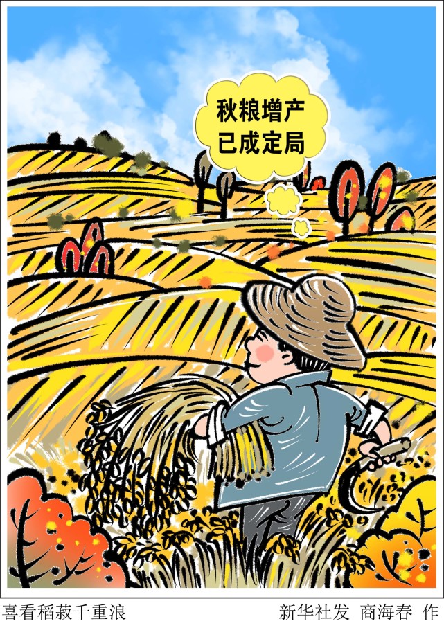 (图表·漫画)【新华全媒 】喜看稻菽千重浪|北京|农业农村部