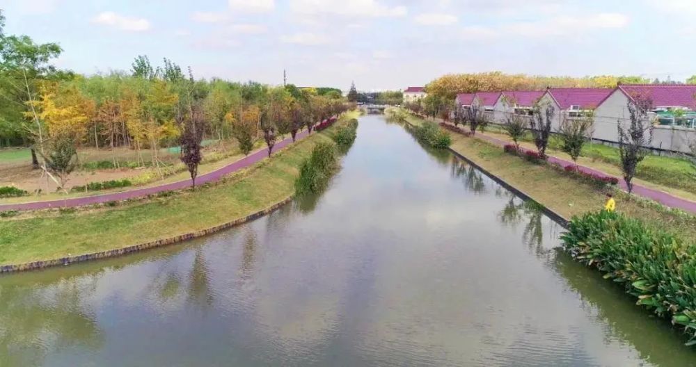 富长路绿地步道