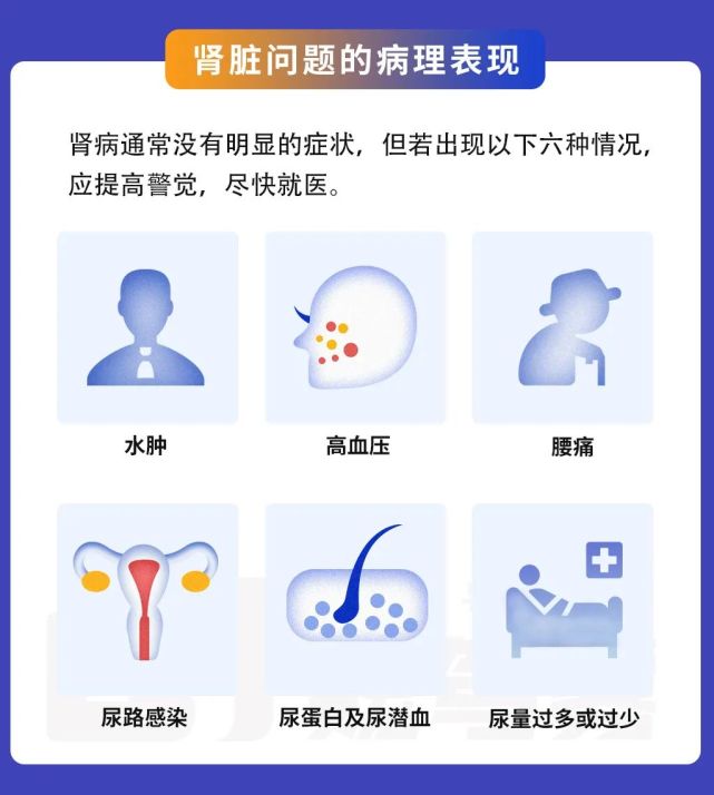 定期进行肾功能检查也很重要,特别是有家族患肾脏病的病史,和高血压