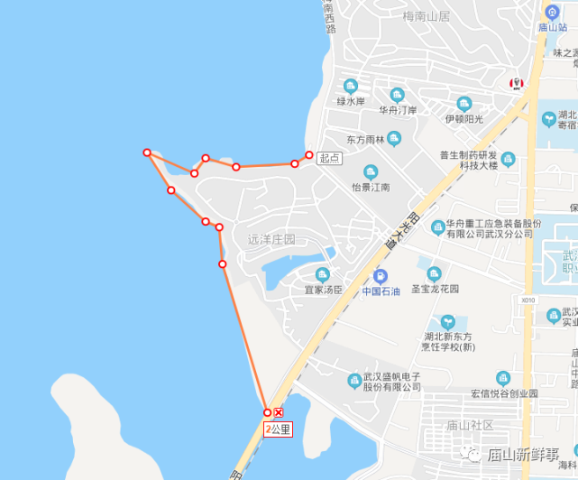江夏区|远洋庄园|环湖路|汤逊湖|庙山|武汉