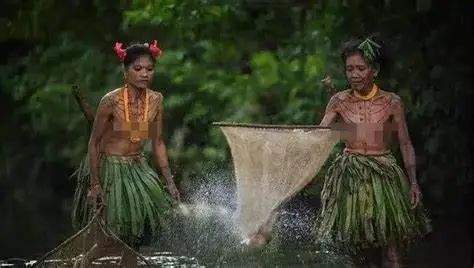 哪怕原始人,也要弄树叶或者兽皮遮住羞处,但猴子就没有这个意识,它们